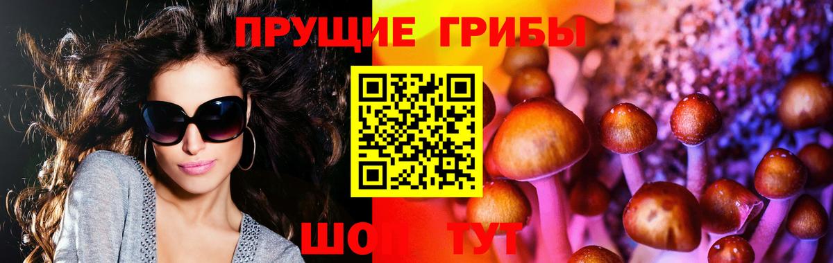 Галлюциногенные грибы мухоморы Лиски